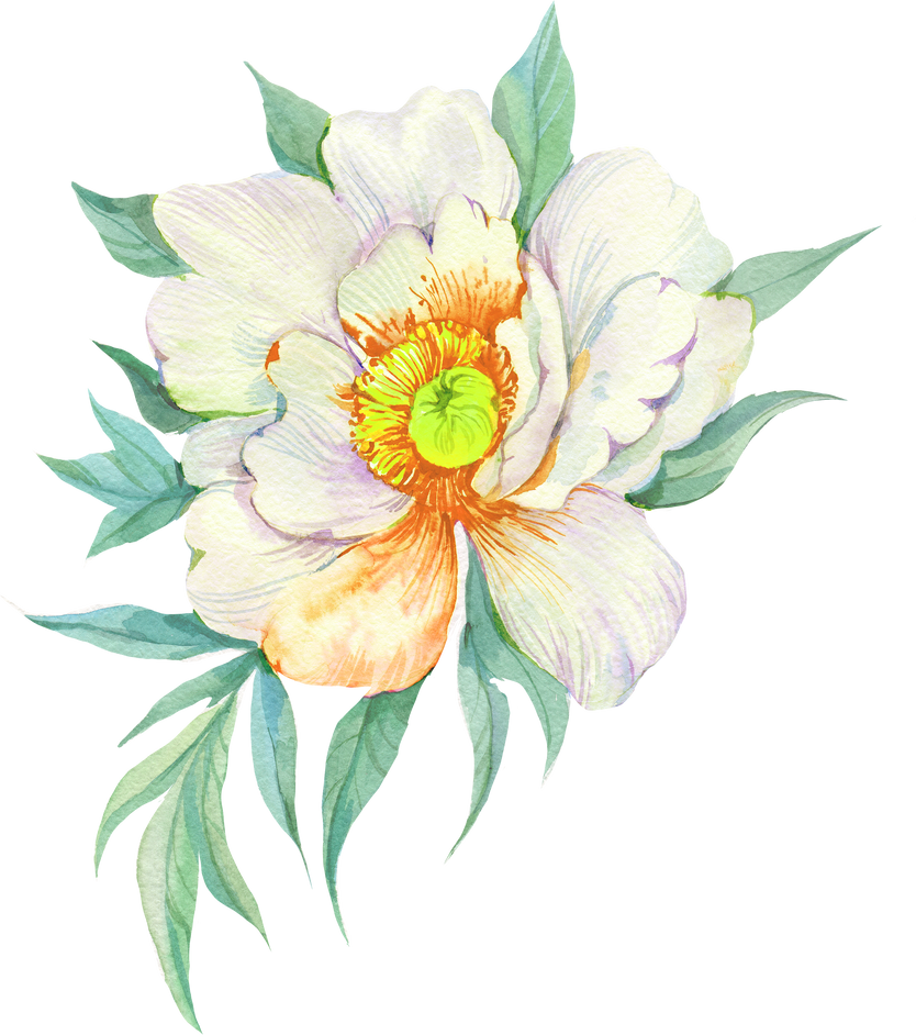 Flower Watercolor